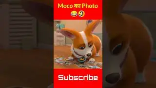 Moco का Photo 😂🤣 | Moco Dog Funny Shorts Video | Kidplays Gaming