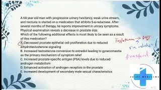 High-yield USMLE Step 1 Question 17 : Prostate 
