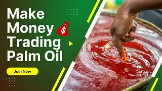 Make Money Trading Palm Oil in Ghana | Link Positives Agribusiness Club