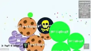 Top 10 Best Agar.io Players