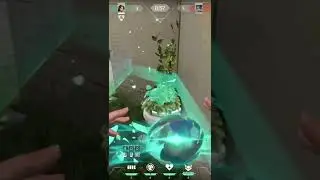 BROKEN GLITCH SAGE WALL ON HAVEN#funny #valorantclips #valorant #memes #sage #gaming