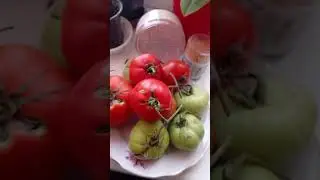 Квіти,томатики, цибулька,приємного перегляду мої любі ♥️