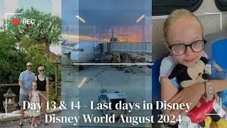 Our last days, Animal Kingdom and Magic Kingdom - Disney World 2024