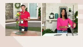 Garden Reflections Multi-tier Metal Plant Stand on QVC