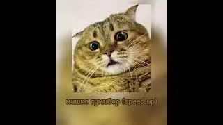 я мишка гумибер (speed up)