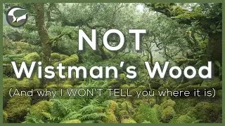 A Question of Preservation | Not Sharing Landscape Photography Locations | Nikon Z fc Sample Images