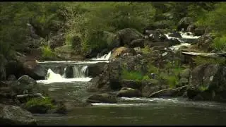 Kayaking on Barrington River | NSW National Parks