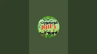 خوبصورت جانور is live