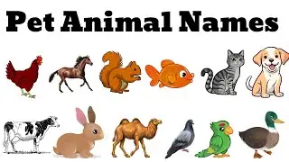 Pet animal names in English and Hindi|  पालतू जानवरों के नाम | Learn pet animal 