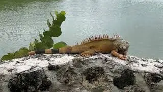 Vidanta, Riviera Maya, November 2023