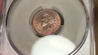 1883 Indian Cent, CACG MS65 RB