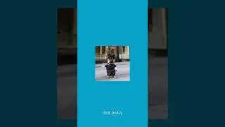 Adam and Joe (BBC 6 Music) - Politics                           #podcast #funny