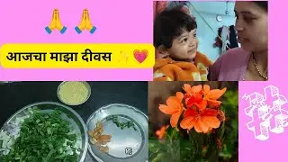 आजच्या vlog मध्ये 🧡कांद्याच्या पात्यांची भाजी 🧅लसूणाच्या पानांची चिली 🌿आणि दिवसभराची साधी कामं ✨