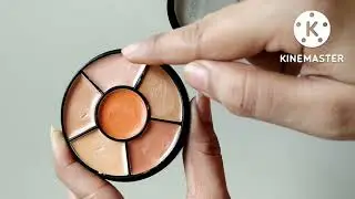 Insight pro concealer palatte review and demo || how to colour corrector dark circles||flawless base