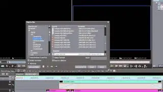EDIUS Pro 6.5 - Video export with alpha channel (transparency) [HD]