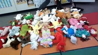 Mrs  Davert Counting Collections Stuffed Animals