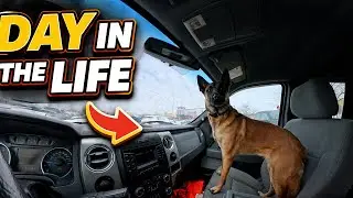 A Winter Workday With a Trained Dog | Cabela&rsquo;s, Off-Leash Hiking & Real Life Training