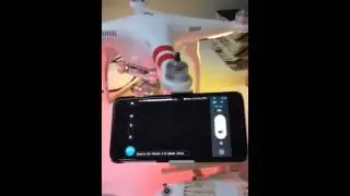Phantom 2 vision + camera Black screen