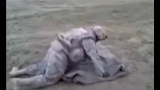 HogBeast Vs. 2nd Squad's Squad Tent