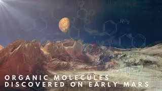 Biomolecules Discovered on Ancient Mars
