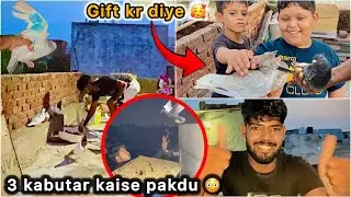 Bacho ko kabutar Gift kr diye 🥰 || Teen ( 3 ) naye Kabutar pakdne lge 🤑