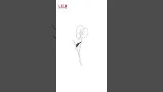 How to Draw Sweet Pea Flowers   Easy Drawing for Kids & Beginners Tutorial #lidoartworks