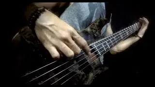Ritual Kannabis - Weed Encrypted [Bass Cover]
