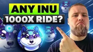 Any Inu $AI Review: Know the Meme Coin That&rsquo;s Actually Cross-Chain? Full Details Here!