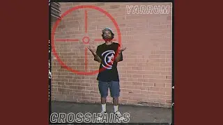 Crosshairs +