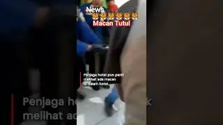 VIRAL MACAN TUTUL MASUK HOTEL KOTA BANDUNG#viral#macan#macantutul#leopard#hotel #bandung#kotabandung
