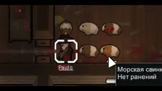 Guinea pigs destroyed hope for the future in Rimworld