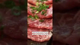 Move Over Kobe 🥩! Discover Saga&rsquo;s Imari Beef Phenomenon!  #japanesefood #japantravel #japan #kyushu