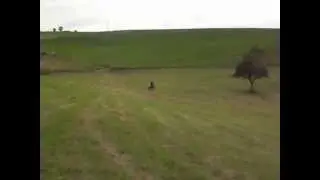 KTM 450 EXC  Ride@Neutsch