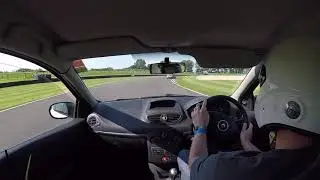 Goodwood 19th July - Bird Strike
