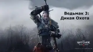 The Witcher 3 / Ведьмак 3 (FullHD): AMD Athlon X4 840 + GTX750Ti 2GB