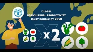 CropBooster-P: designing plants for our future (GB version)