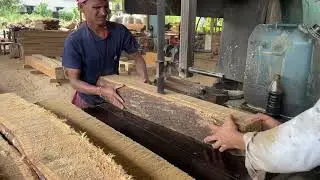 LARGEST ACACIA WOOD CUTTING FASTEST SKILL 🪵👌| FURNITURE SIZE CUTTING SAWMILL🔥|