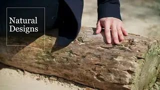 Discover iD Click Ultimate, inspired by nature