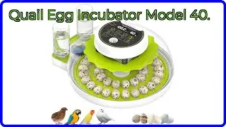 REVIEW (2026): Quail Egg Incubator Model 40.. ESSENTIAL details.