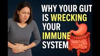 Your Microbiome is Sabotaging Your Immune System