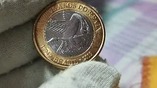 Lindas Moeda Beija-flor Flor se cunho