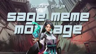 Papurr Plays as Agent Sage | Meme Montage with Valorant Friends :)