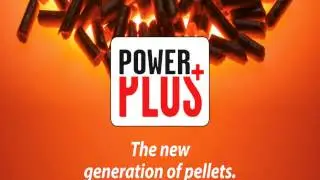 Congresso Internacional Biomassa e Bioenergia German Pellets