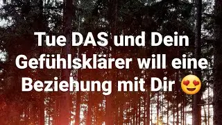 Tue DAS und Dein Gefühlsklärer will eine Beziehung mit Dir! #dualseele #gefühlsklärer #twinflame