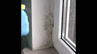 Pleseň na stenách - Čo je systémovým riešením na jej zbavenie?