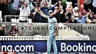 Top Catches | Compilation | Cricket Torque