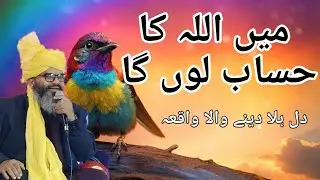 Main Allah Ka Hisab Lunga! | Ek Arabi Aur Nabi (SAW) Ka Iman Afroz Waqia ✓ @ShahzaibQuazi 