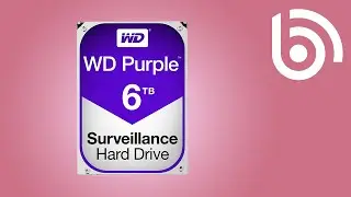 What is a WD Purple Hard Drive?