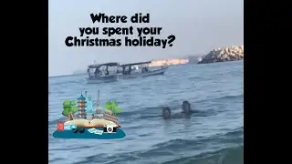 where did you spent your Christmas holiday?/YacthClub/Oman