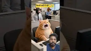 बिल्ली क्यों रो रही है .?| Cat Cartoon story 😲|#shortvideo #cat #imotional #story